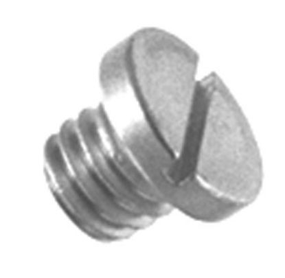 Picture of Sierra 18-2387 Drain Fill Screw  OMC 307551