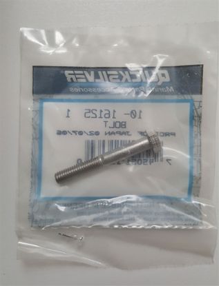 Picture of 10-16125 1 Mercury OEM Front Gear Housing Bolt